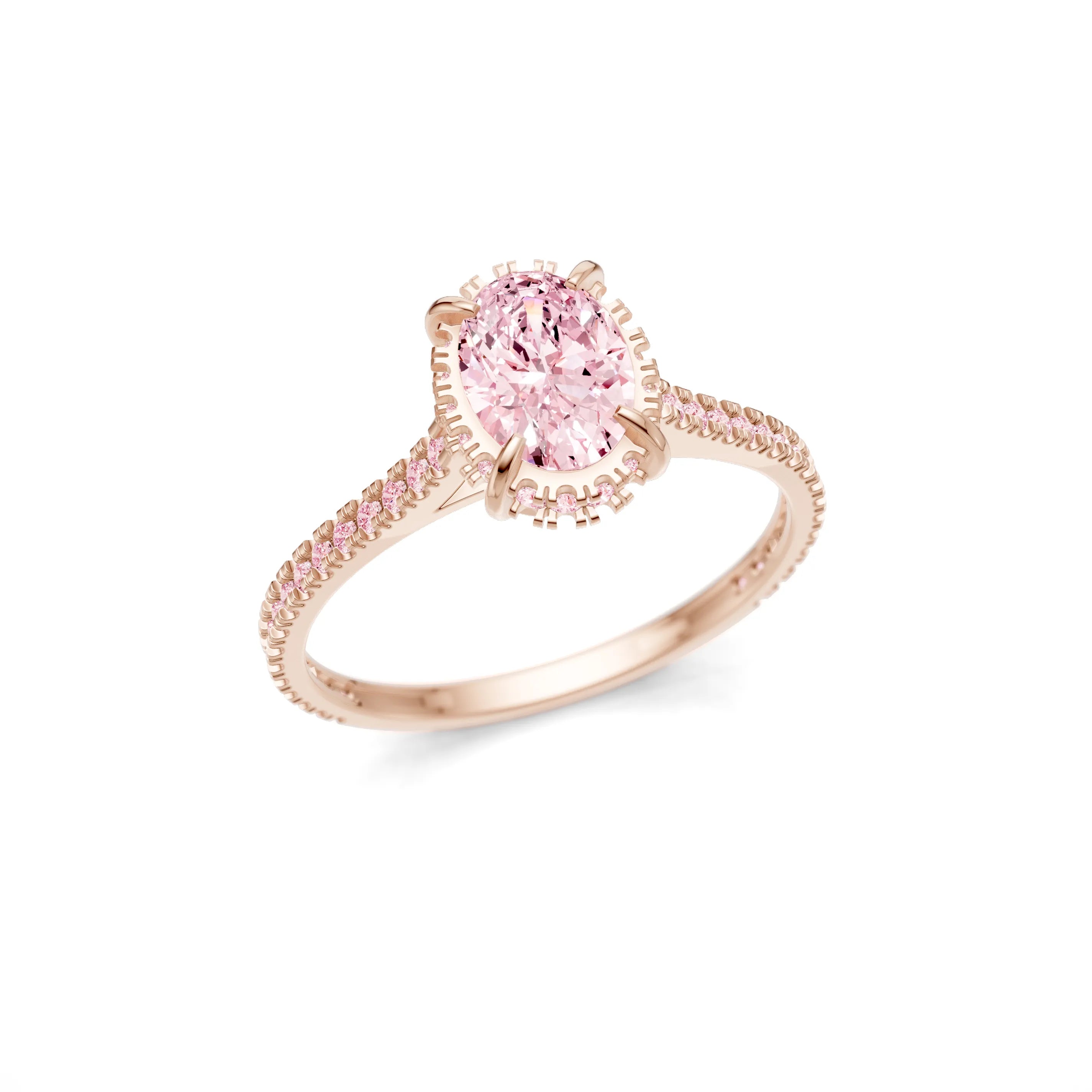Rose_Pink_Pink
